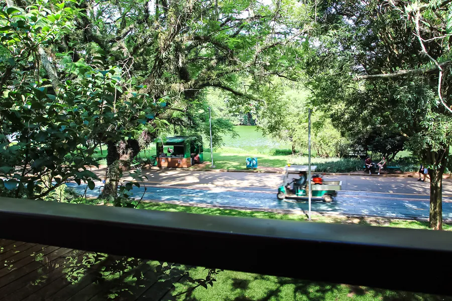 Vista para o Parque Ibirapuera, com o lago ao fundo